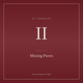 Chapter II — Missing Pieces (Full Chapter)