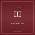Chapter III — Where Angels Burn (Full Chapter)