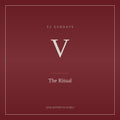 Chapter V — The Ritual, or Whatever That Bullshit Means (Full Chapter)